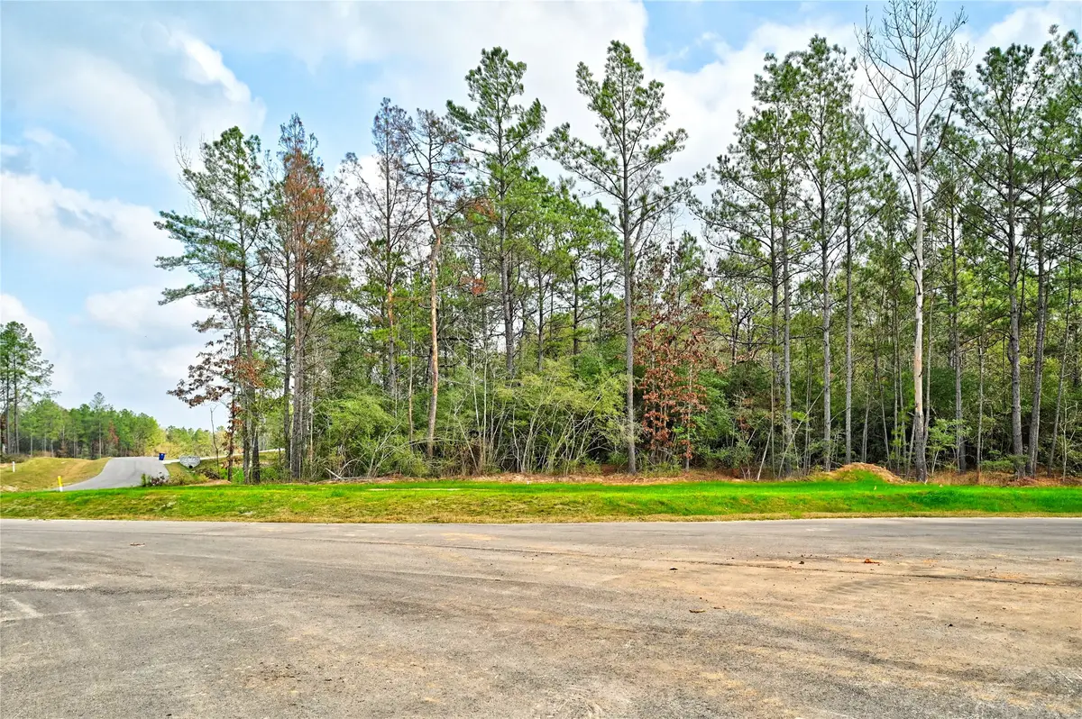 4521 Marfa Court, Montgomery, TX 77316 - Image #1