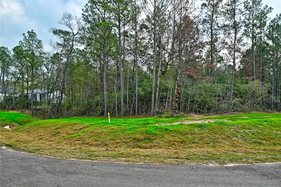 4521 Marfa Court, Montgomery, TX 77316 - Image #2