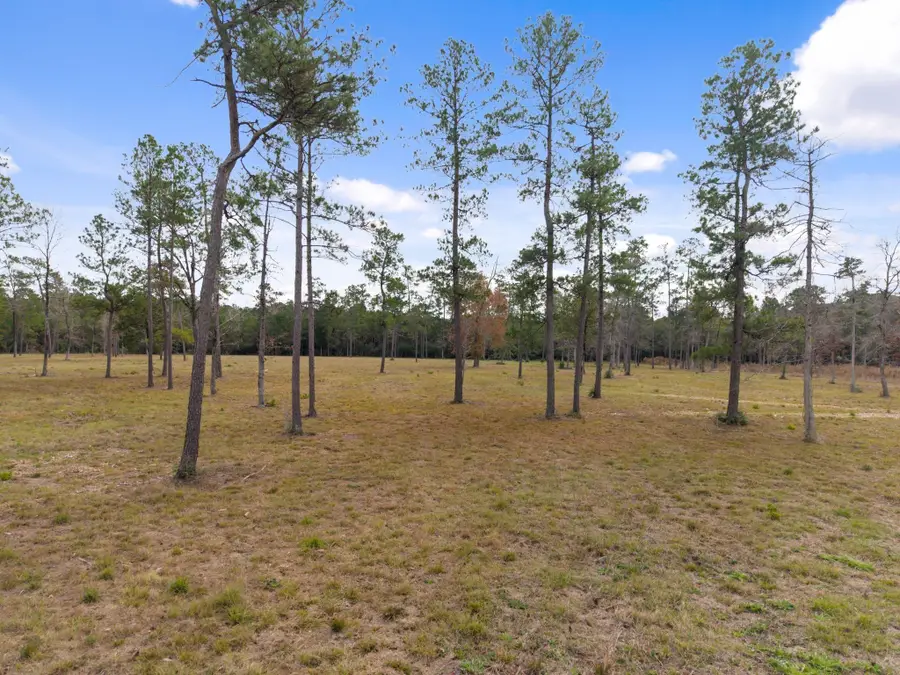 TBD LOT 4 Fm 3152 Road, Livingston, TX 77351 - Image #2