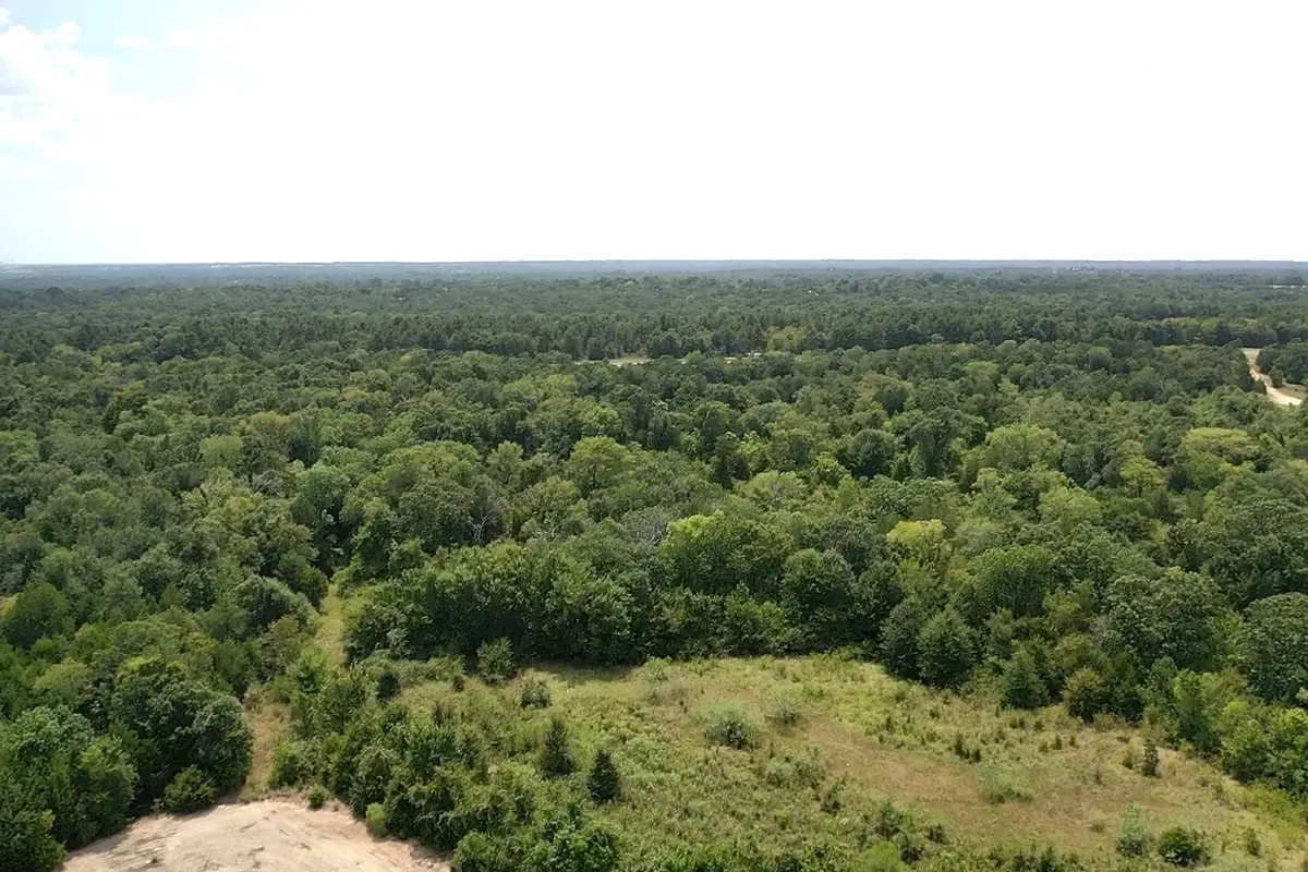 TBD I-45, Buffalo, TX 75831 - #1
