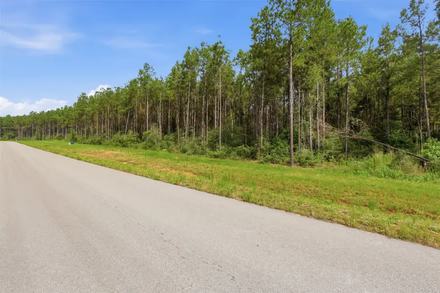 16030 Forest Mill Road, Willis, TX 77378 - #2