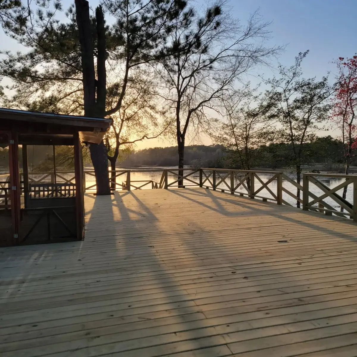 180 Pr 8776, Warren, TX 77664 - #1