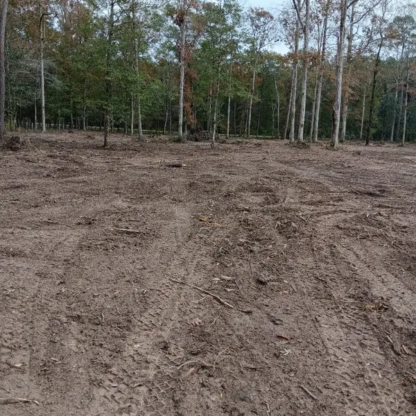 Lot 22 Plum Pudding Road, Livingston, TX 77351