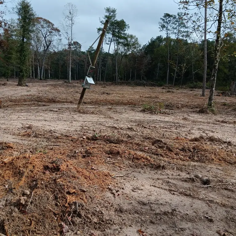 Lot 22 Plum Pudding Road, Livingston, TX 77351 - #3