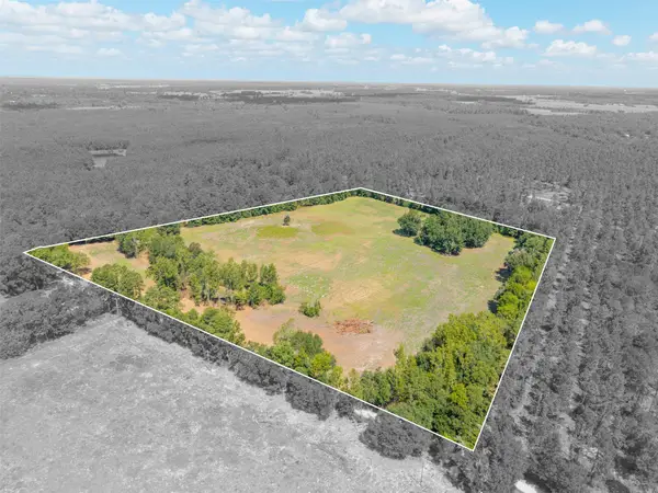 TBD Cr 3365, Lovelady, TX 75851