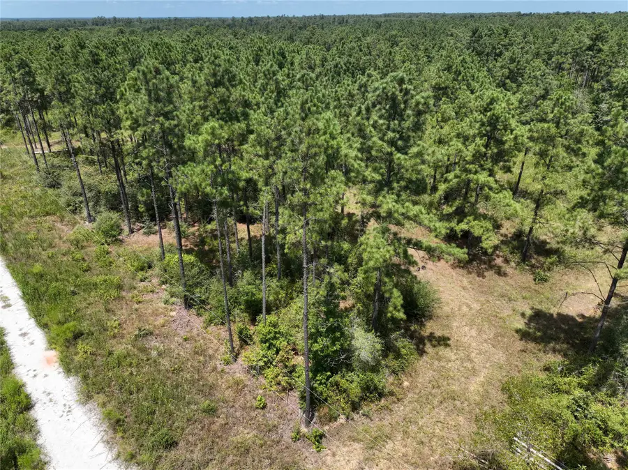 1 Richardson Road East, Livingston, TX 77351 - #2