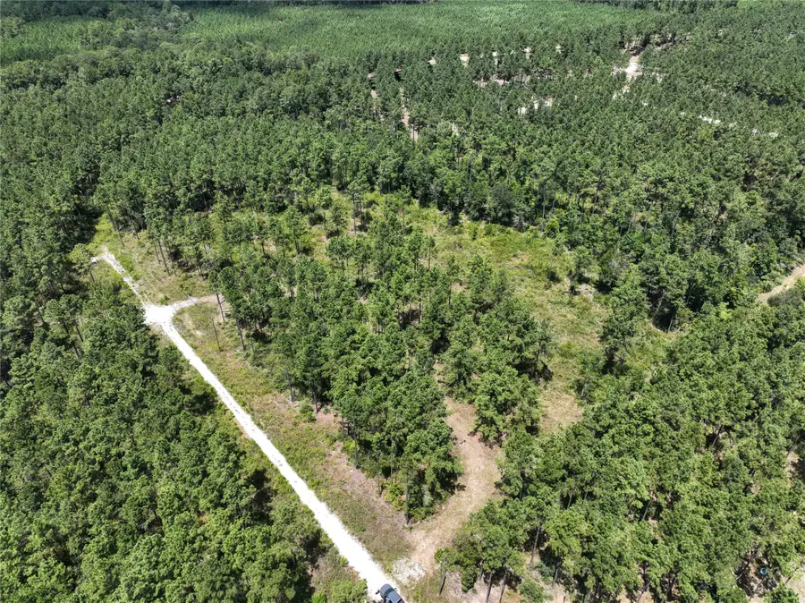 1 Richardson Road East, Livingston, TX 77351 - #3