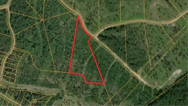 Lot 7 Eagle Falls Blvd, Trinity, TX 75862