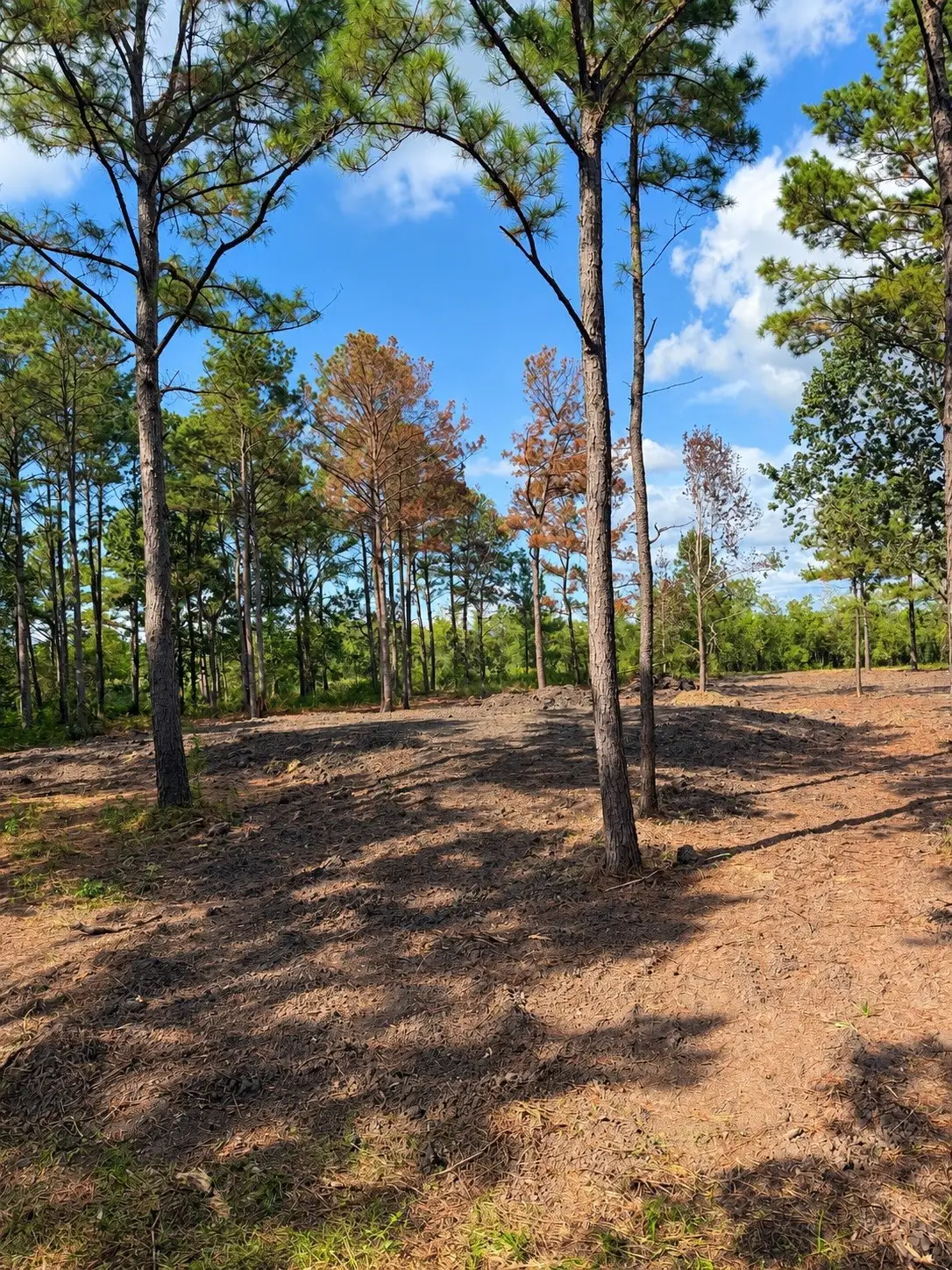348 Private Road 77004 Road, Liberty, TX 77575 - #1