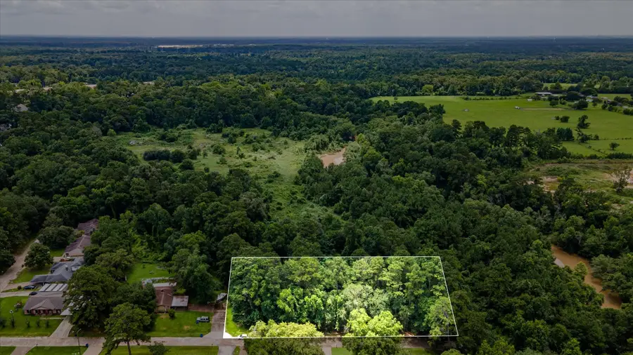 0 Alpestrine Dr, New Caney, TX 77357 - #3