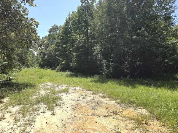 1031 Plantation Drive, Livingston, TX 77351