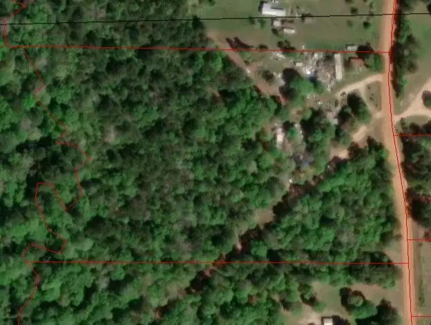 1031 Plantation Drive, Livingston, TX 77351 - #3