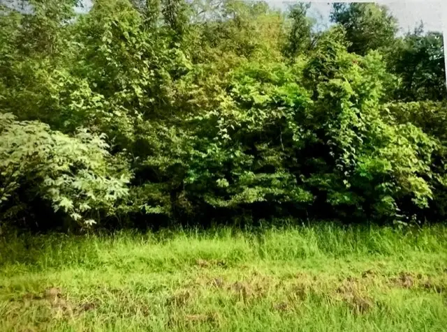 0000 Hasema, Van Vleck, TX 77482 - #2