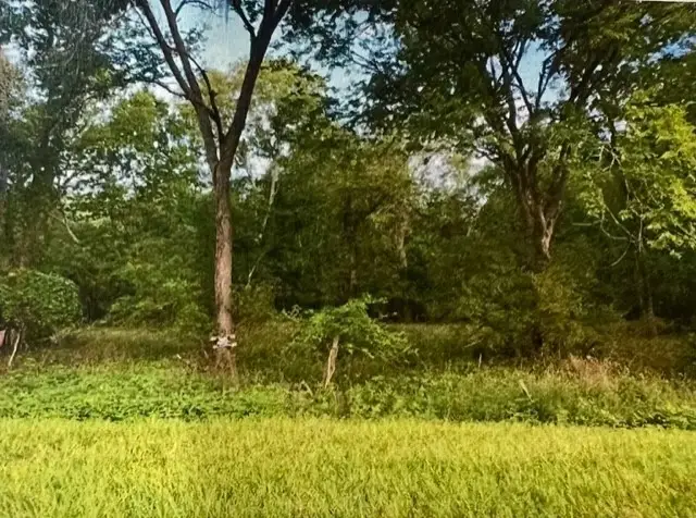 0000 Hasema, Van Vleck, TX 77482 - #3