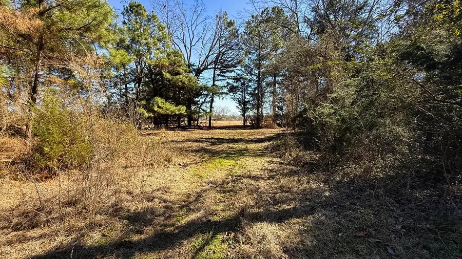 TBD County Road 473, Henderson, TX 75654 - #3