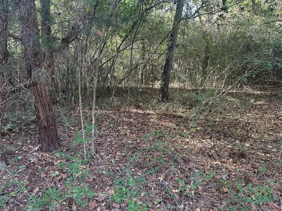 TR 4 Cr219, Buffalo, TX 75831 - Image #3