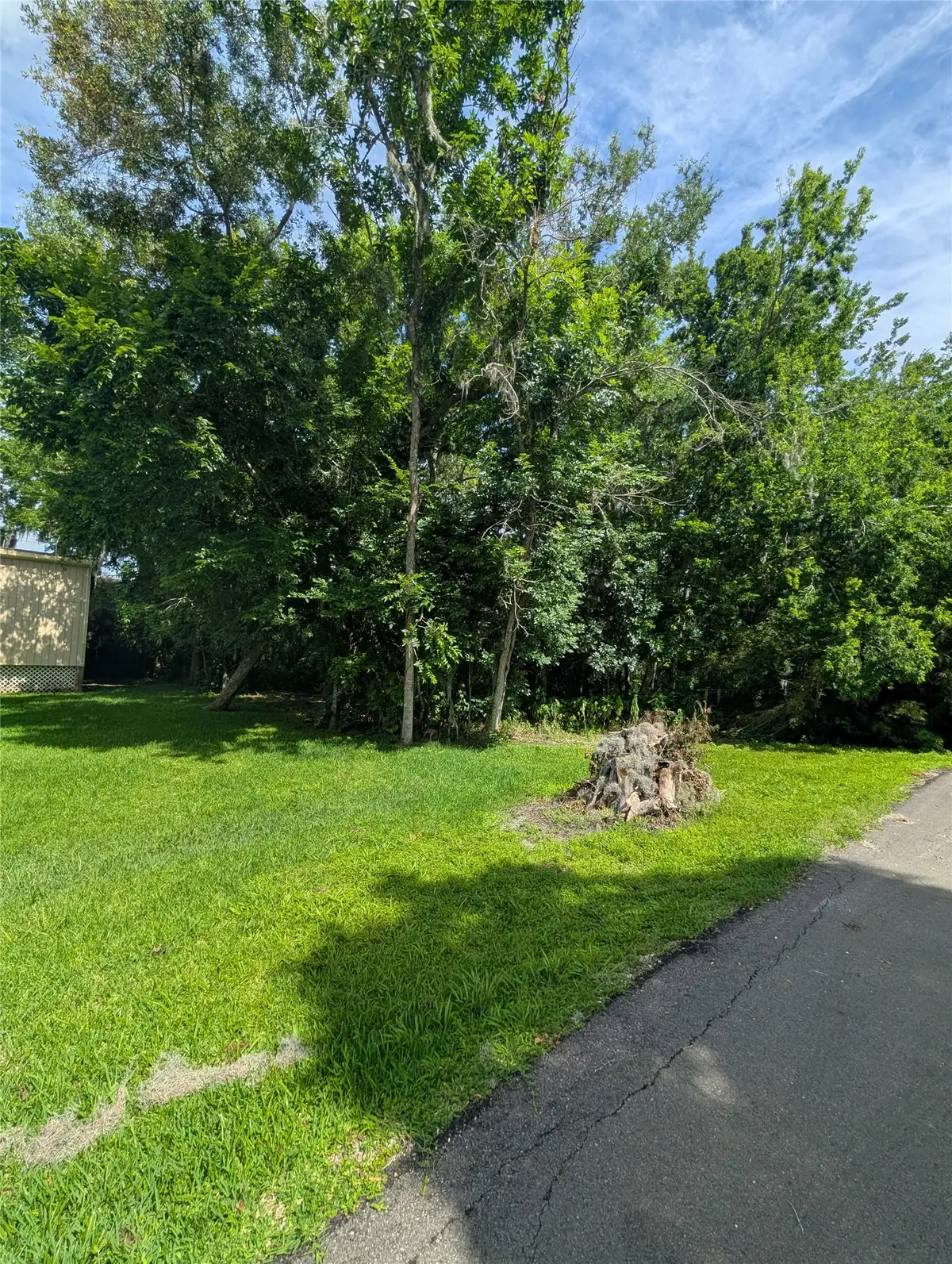 000 Bay Court, Brazoria, TX 77422 - #1