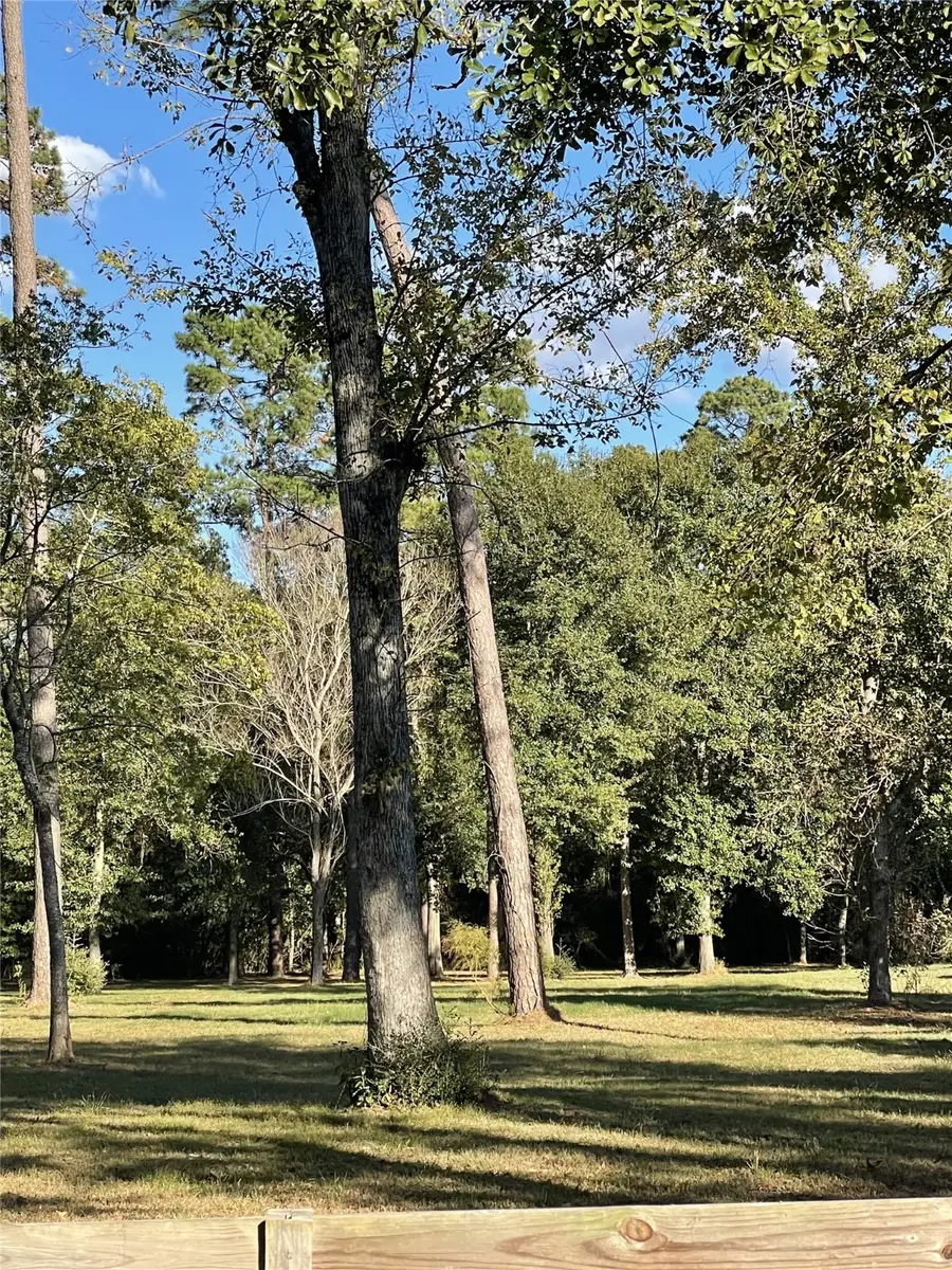 27110 Cherokee Lane, Magnolia, TX 77354 - Image #2