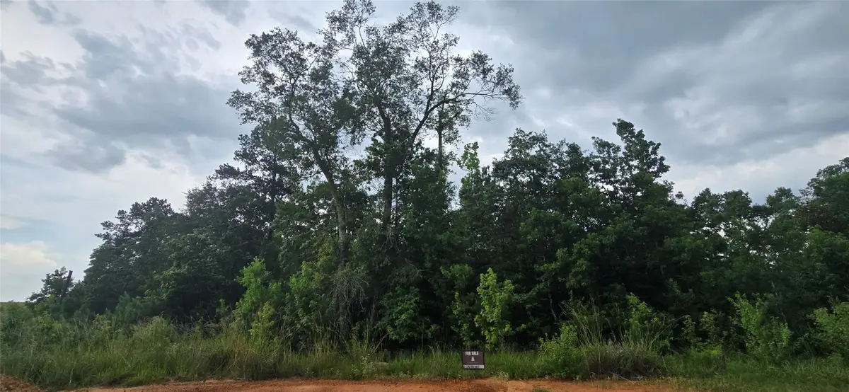 TBD S6513 Lakekand Ranch Section 9, Block 14 Tract 387, Hillister, TX 77624 - #1