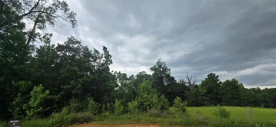 TBD S6513 Lakekand Ranch Section 9, Block 14 Tract 387, Hillister, TX 77624 - #3