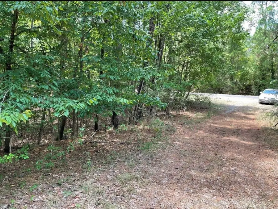 TBD Hickory Circle, Point Blank, TX 77364 - #2