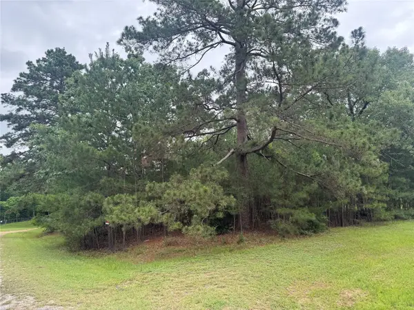 TBD Persimmon Cir, Point Blank, TX 77364