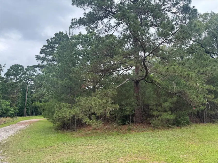 TBD Persimmon Cir, Point Blank, TX 77364 - #2