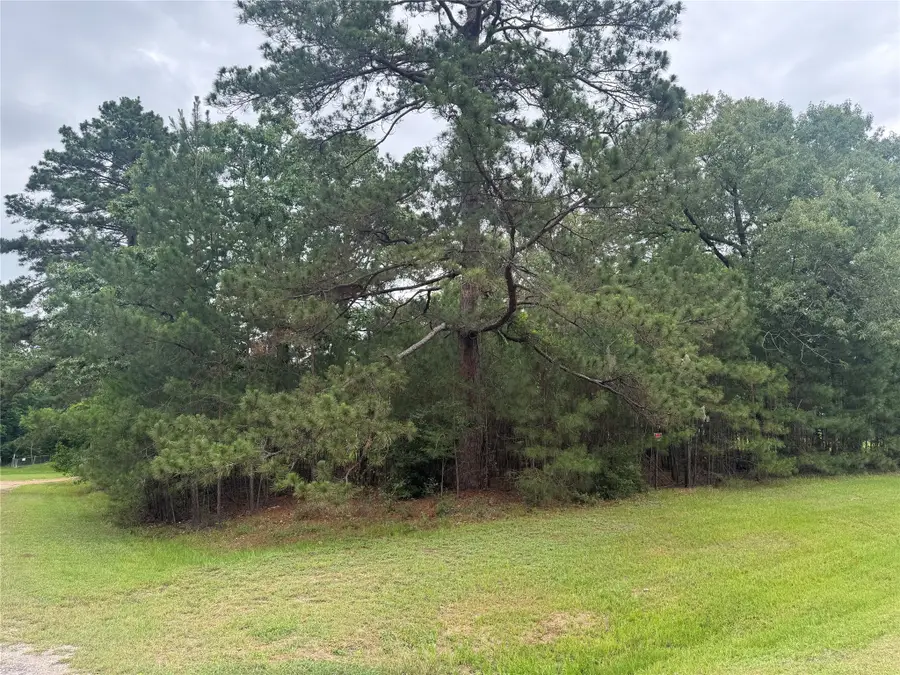 TBD Persimmon Cir, Point Blank, TX 77364 - #3