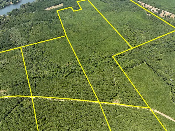 1 Fm 256, Colmesneil, TX 75938