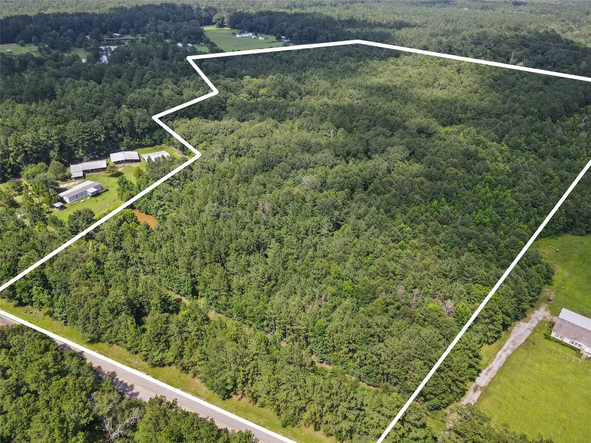 4013 Fm 2992, Woodville, TX 75979 - #1