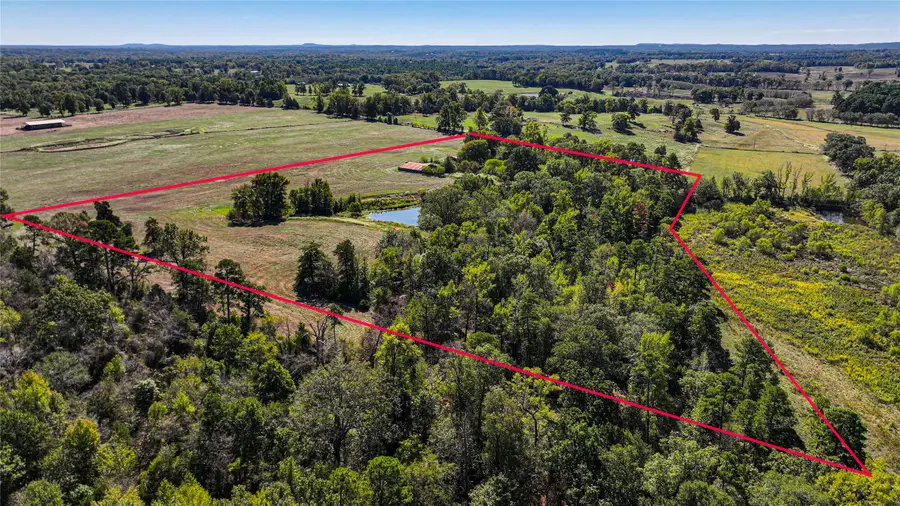 10736-1 Muskrat Road, Gilmer, TX 75644 - #3