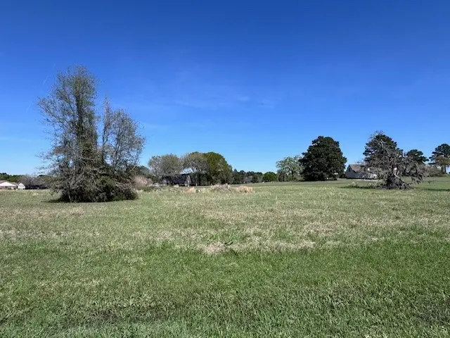 TBD04 High Meadow, Trinity, TX 75862 - #2