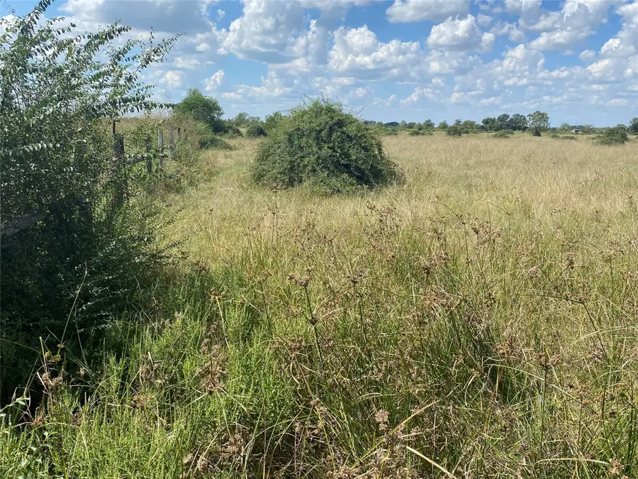 29511 Burton Cemetery Road, Waller, TX 77484 - #2