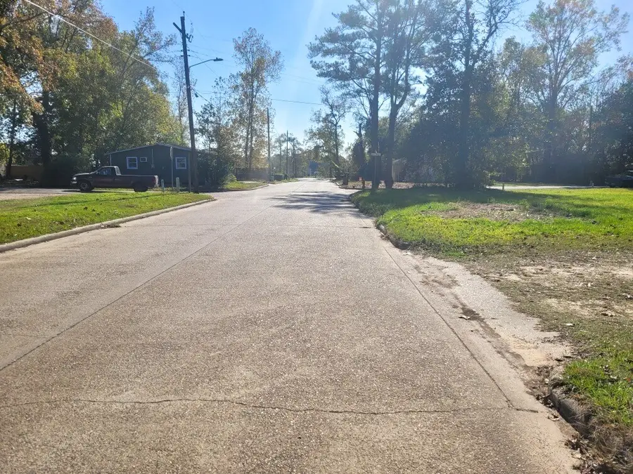 601 Earnest Carrington Sr Avenue, Cleveland, TX 77327 - Image #2