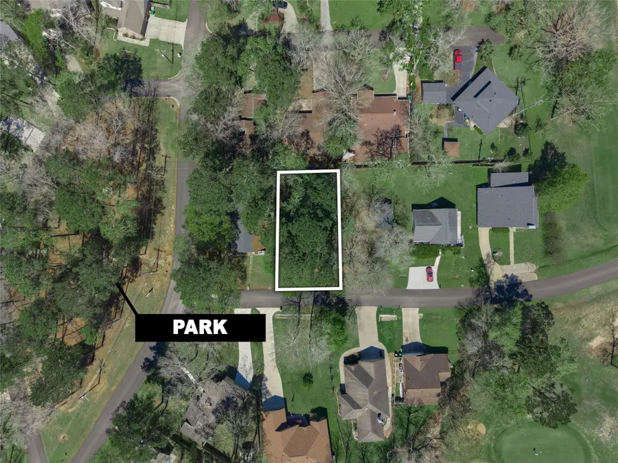 168 Mid Pines Drive, Conroe, TX 77304 - #3