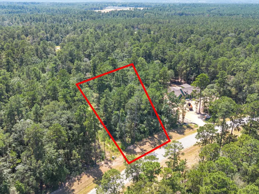 15621 Wood Grove Way, Willis, TX 77378 - Image #3