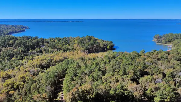 TBD Deer Ridge Drive, Livingston, TX 77351