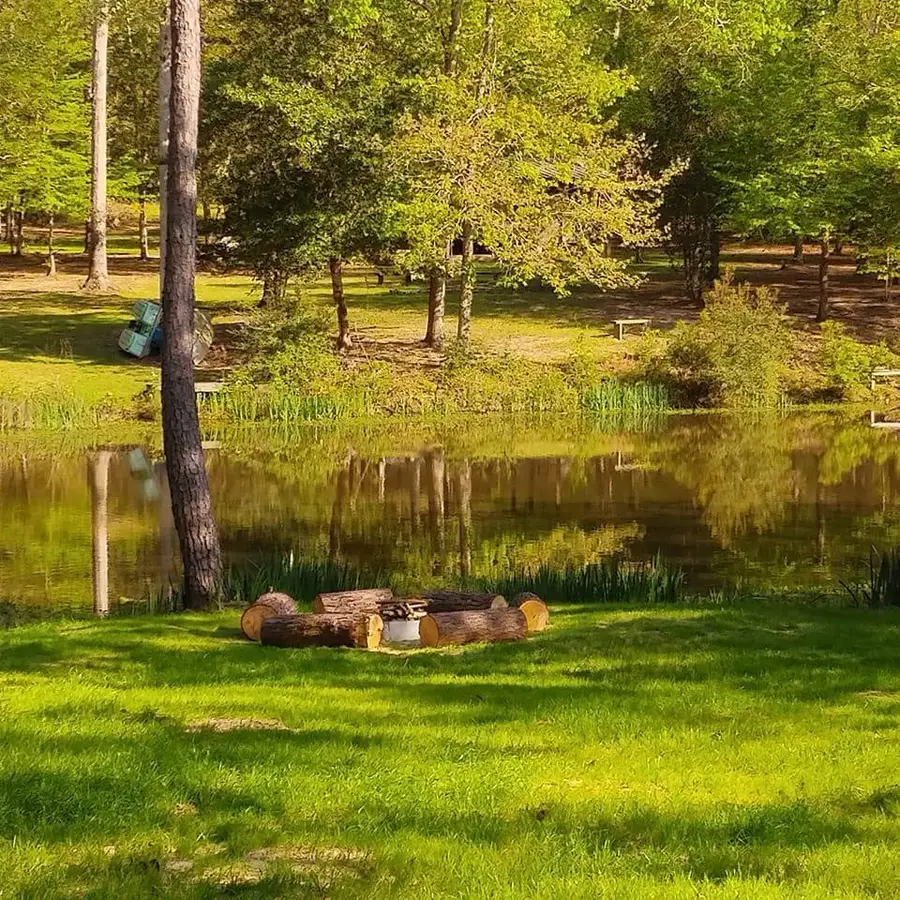 250 Bobby Baer Road, Livingston, TX 77351 - #3