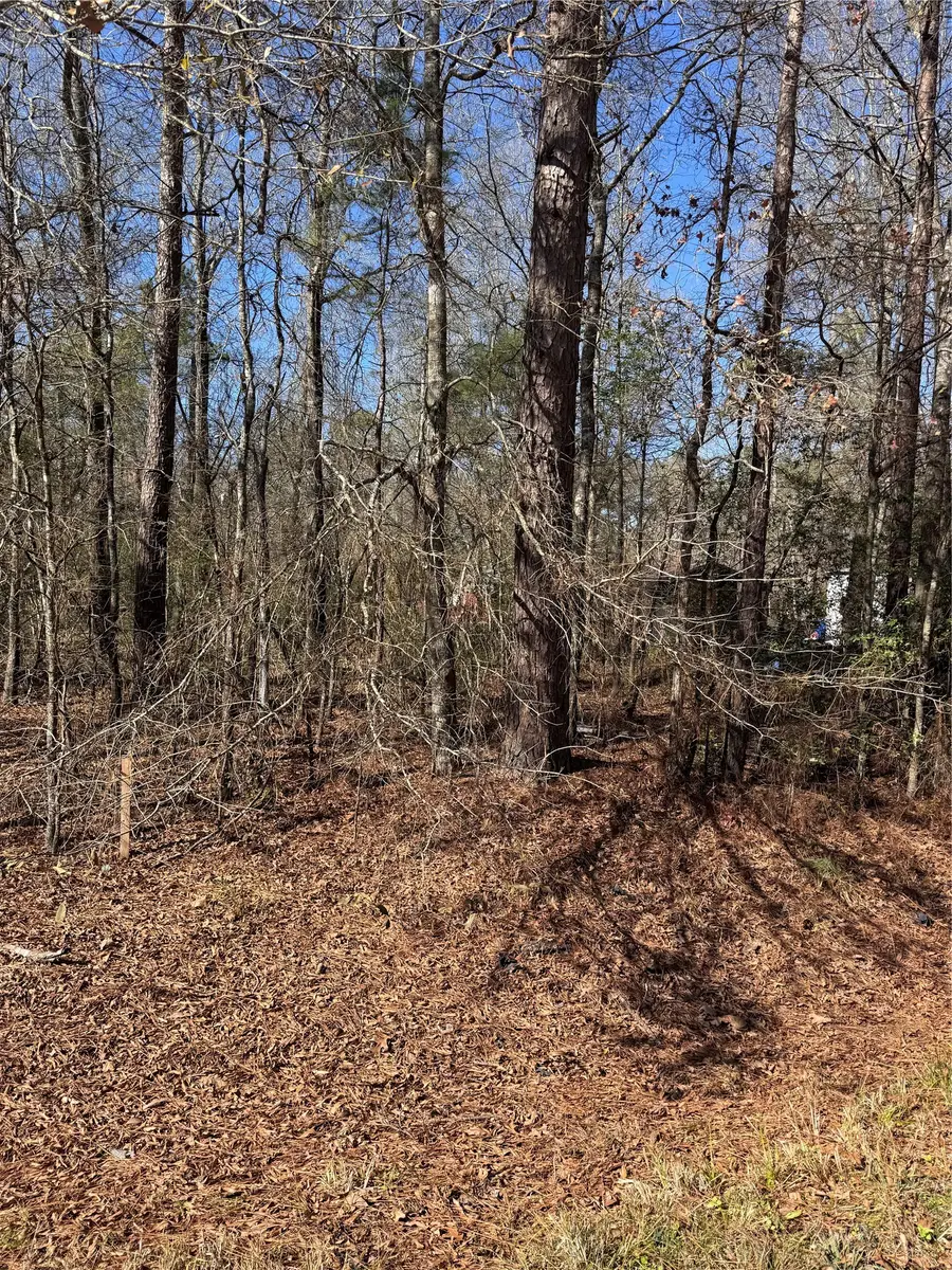 tbd Jaycrest, Livingston, TX 77351 - #2