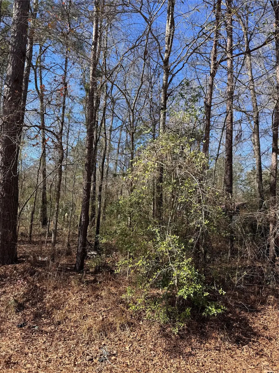 tbd Jaycrest, Livingston, TX 77351 - #3