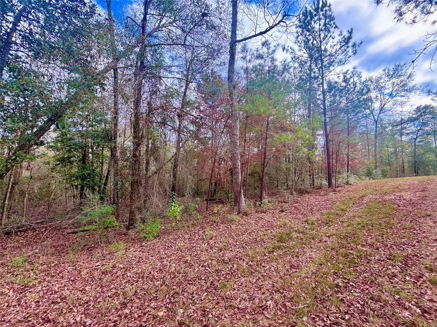 000 Fm 1005, Jasper, TX 75951 - Image #3