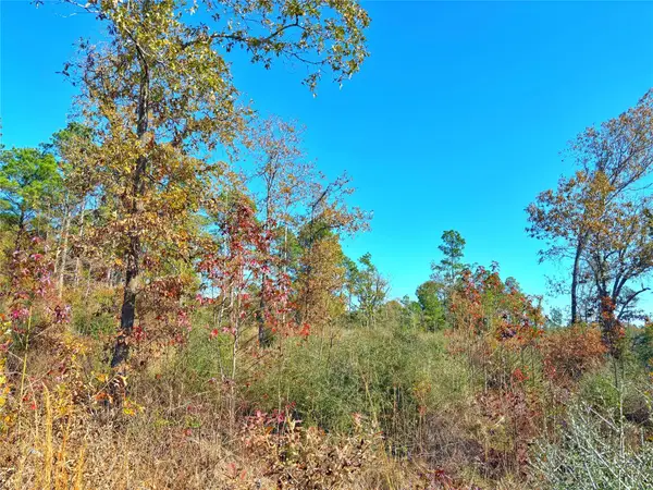 0 Fm 2022, Grapeland, TX 75844