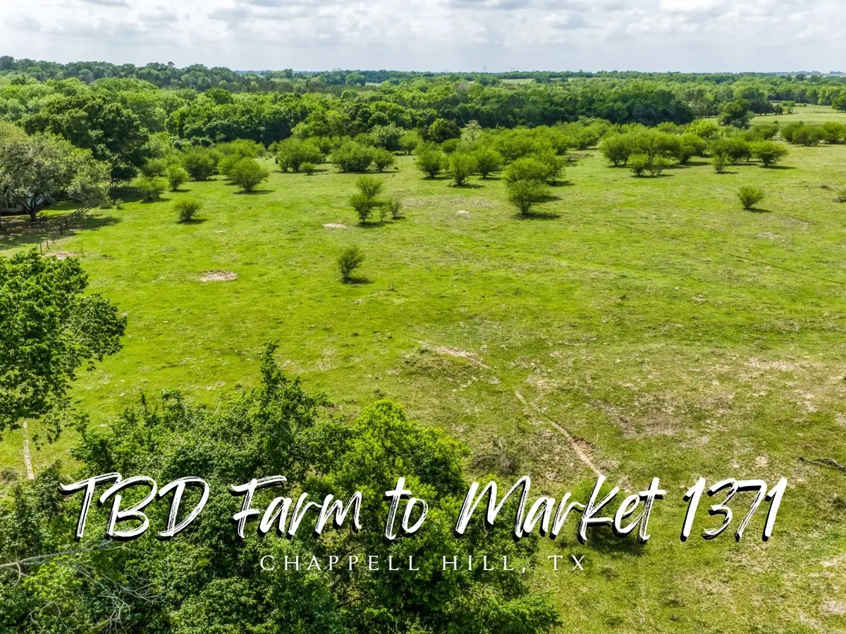TBD Farm To Market 1371, Chappell Hill, TX 77426 - #1