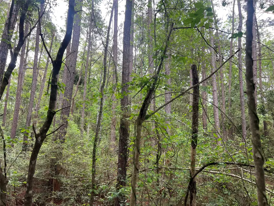 TBD The Ole Barney Road, Livingston, TX 77351 - #2