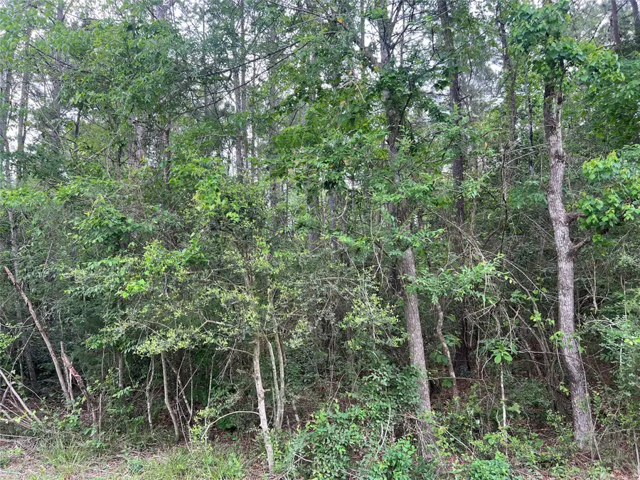 TBD The Ole Barney Road, Livingston, TX 77351 - #3