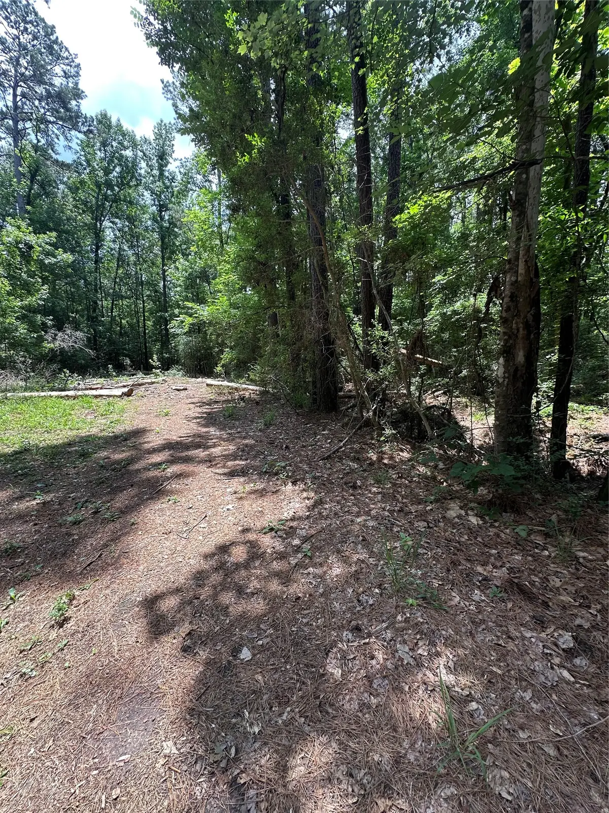 Lot 715 & Lot 716 N Royal Estates Drive, Conroe, TX 77303 - #1