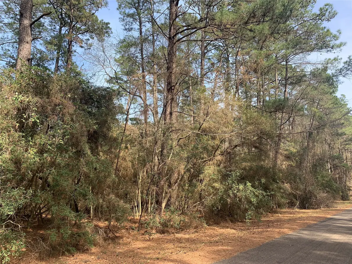 19 Pavlock Road, Navasota, TX 77868 - #1