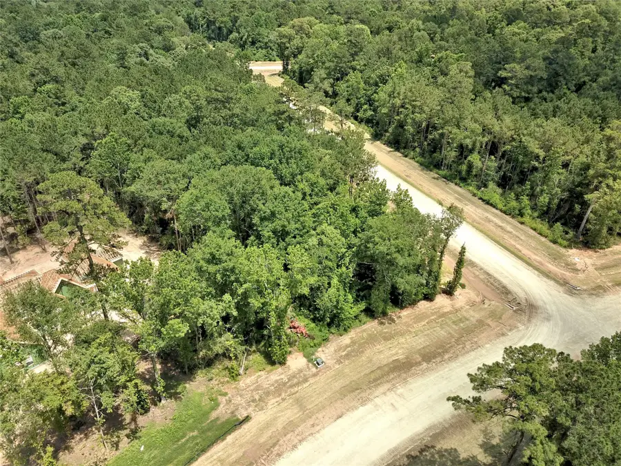 258 Heartland Road, New Waverly, TX 77358 - #3