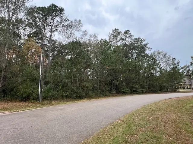 27702 Colapis Drive, Splendora, TX 77372 - Image #1