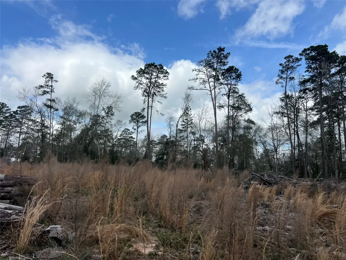 TBD Three Bridges Road, Livingston, TX 77351 - #1
